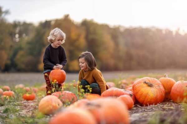 Image shows two young children picking pumpkins at a pumpkin patch. Image depicts enabling disabled and neurodivergent children to enjoy Halloween